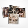 Ashley WOOD - Investigation BUNDLE 1-4