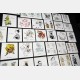 Kim Jung Gi Museum - Set de stickers