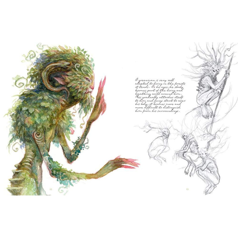 Faeries of the Faultlines