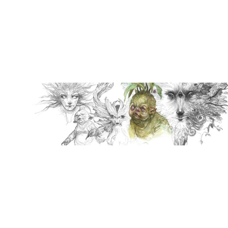 Faeries of the Faultlines
