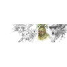 Faeries of the Faultlines