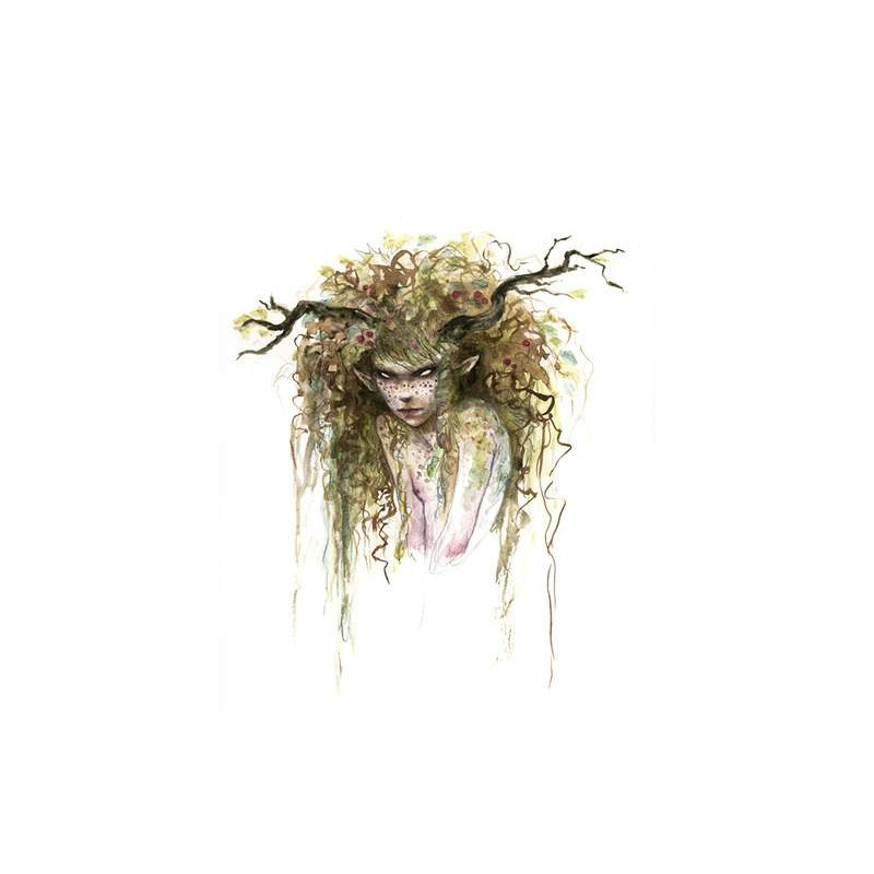 Faeries of the Faultlines