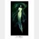 Iain McCaig - Art Print - "CALL OF THE MUSE" (numbered and signed)