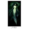 Iain McCaig - "CALL OF THE MUSE " - Poster - (numéroté et signé)