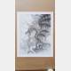 Olivier Ledroit - Dragon (print)