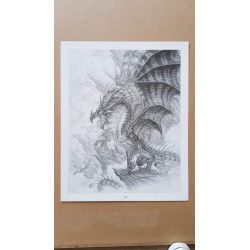 Olivier Ledroit - Dragon (print)
