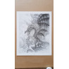 Olivier Ledroit - Dragon (affiche)