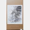 Olivier Ledroit - Dragon (affiche)
