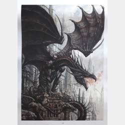Olivier Ledroit Couverturre de L'Universe des Dragons