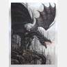 Olivier Ledroit - Cover L'Univers des Dragons (art print)