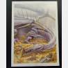 Adrian Smith - Dragon (poster)