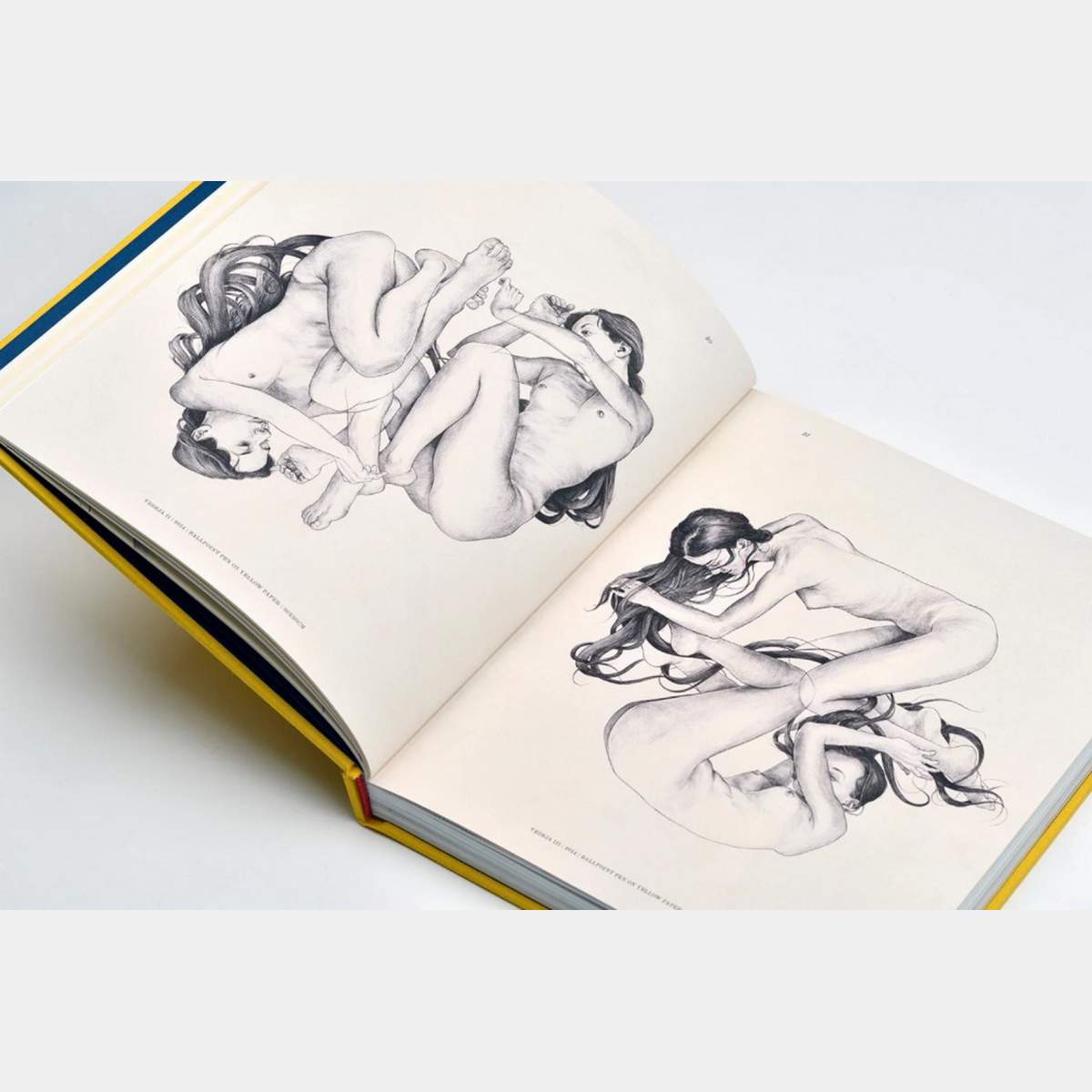 Chamo San - Sketched Memories