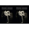 Patrick J. Jones - Drawing From Photos: Problem Solving & Interpretation