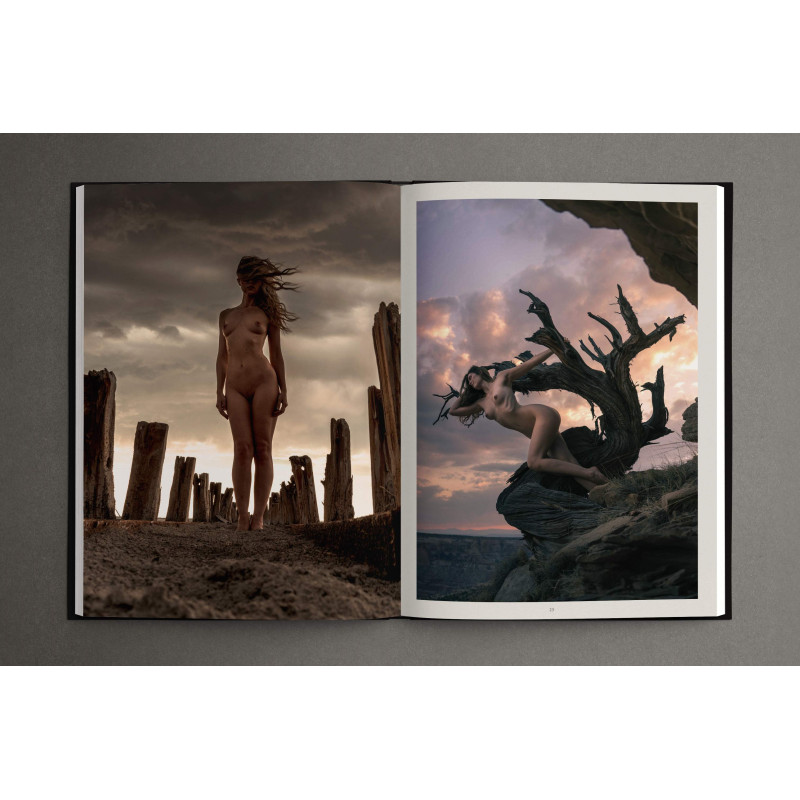 The Best of Model Society - Édition standard