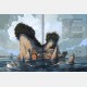 Pillot & Moncomble - BALBUZAR (Special Edition)