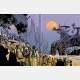Marcos Mateu-Mestre - Framed Environment Design