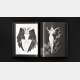 Godiva Ghoul - Hardcover solo (précommande)