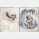 Star Wars: Bestiary Vol. 1 Creatures of the Galaxy