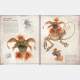 Star Wars: Bestiary Vol. 1 Creatures of the Galaxy