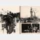 Ashley Wood - AWD XL RED