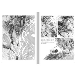 The Art of Ian Miller