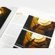 Artists' Master Series: Color & Light
