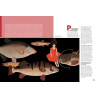 Les Arts dessinés (magazine) (FR) - SURPRISE ISSUE