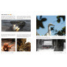 Scott Robertson et Thomas Bertling - How to Render