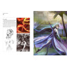 Collective - Costume Design and Illustration