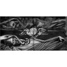 Dave McKean - Postcard from Brussels