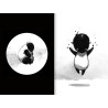 Moon - Exploration (preorder)