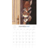 Julie Mellan - Calendrier 2027 (précommande)