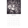 Stan Manoukian - Calendrier 2027 (précommande)
