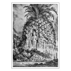 Laurent Gapaillard - Portfolio "Au Pays des Sept Nervures"