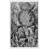 Laurent Gapaillard - Portfolio "Au Pays des Sept Nervures"