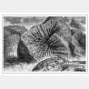Laurent Gapaillard - Poster Geode