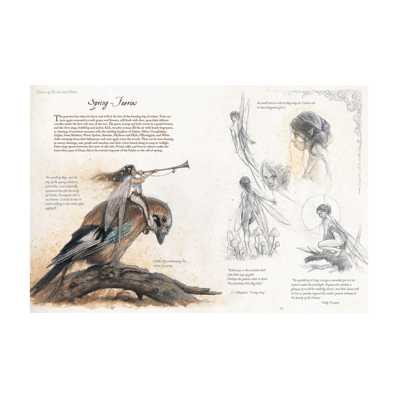 Jean-Baptiste Monge - Celtic Faeris