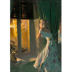 Daniel Zimmer -Tom Lovell: Illustrator