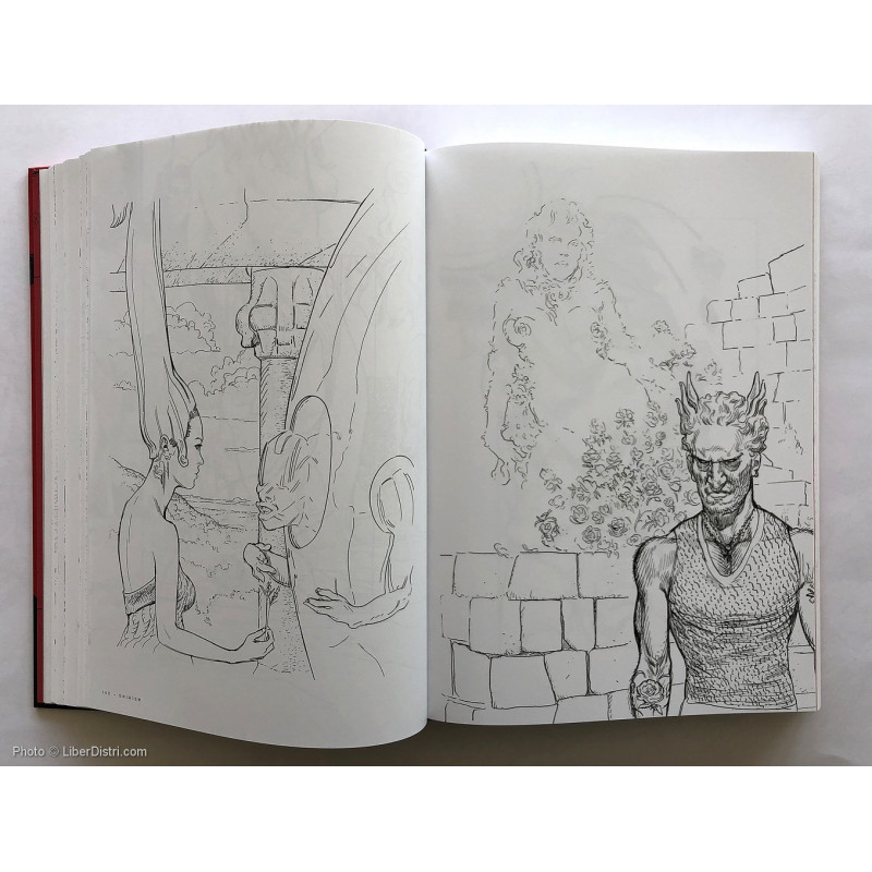 Jaouen SALAUN - Dreambook