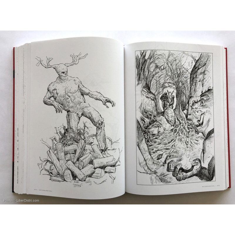 Jaouen SALAUN - Dreambook