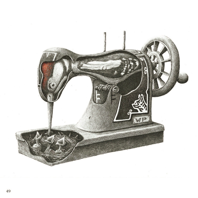 HOEKSTRA Redmer - 1 t/m 100 - Signé