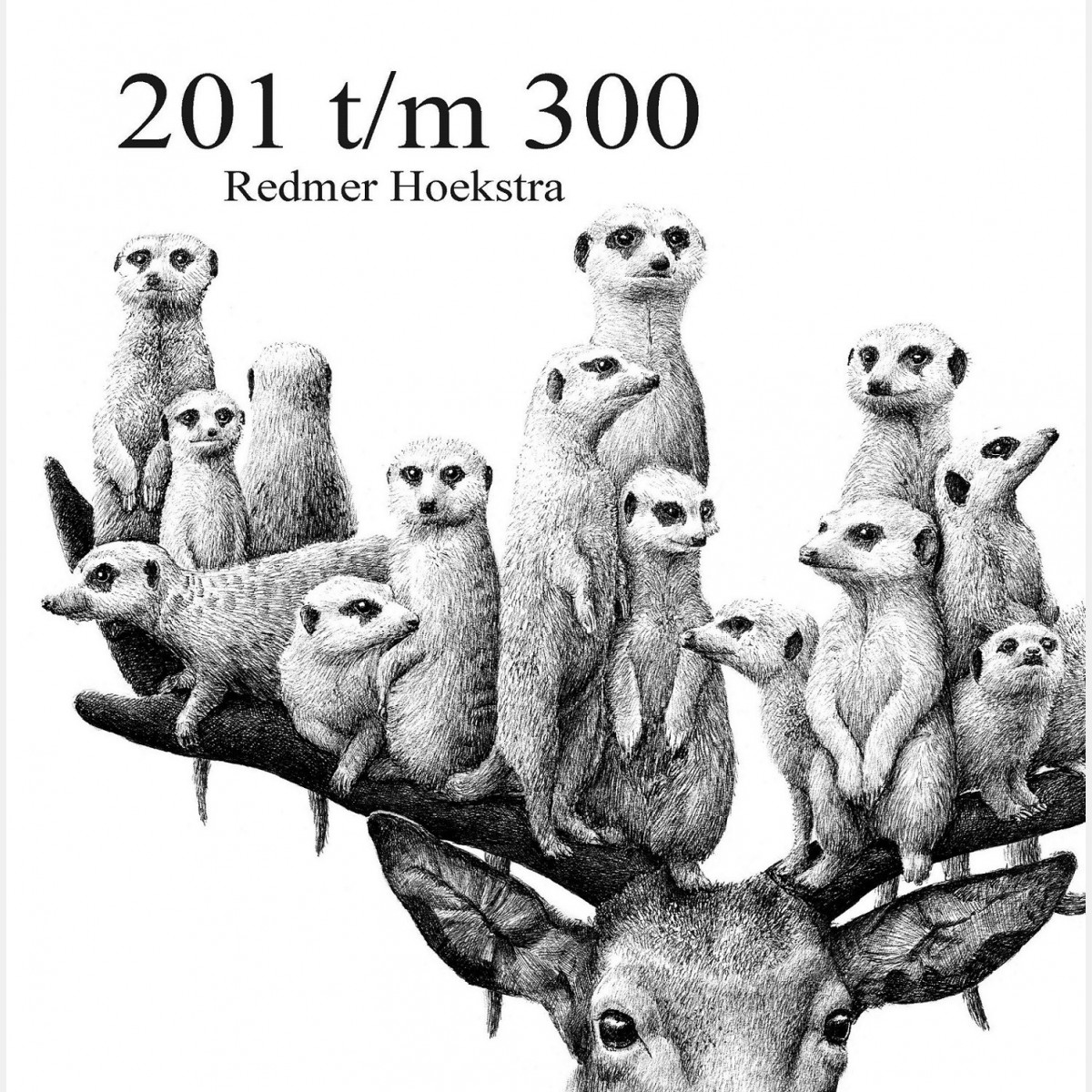 HOEKSTRA Redmer - 201 t/m 300 - Signé