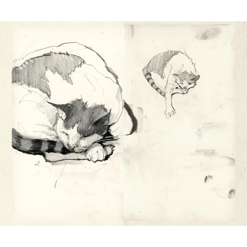 MANN Vol. 1.7 The Sketchbooks