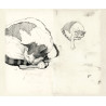 MANN Vol. 1.7 The Sketchbooks
