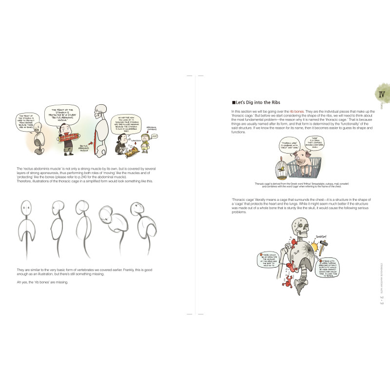 Stonehouse - Stonehouse's Anatomy