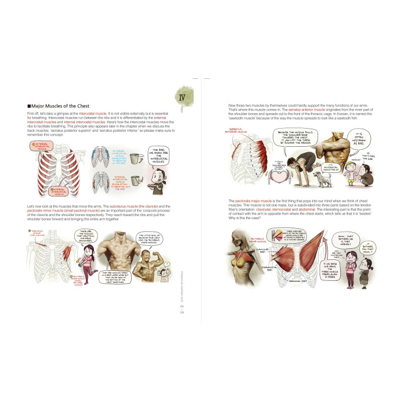 Stonehouse - Stonehouse's Anatomy