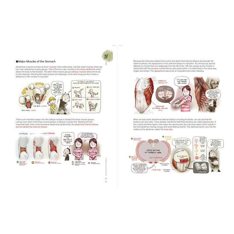 Stonehouse - Stonehouse's Anatomy
