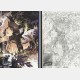 Huang Jia Wei - Monochrome + Polychrome Artbook Bundle