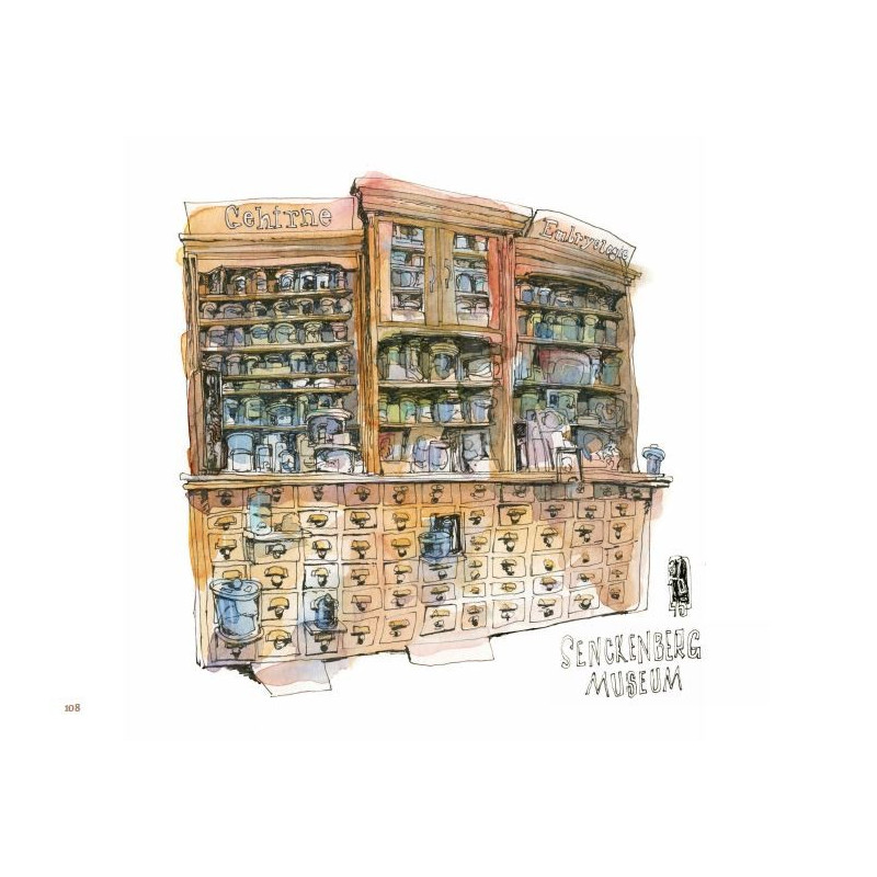 ASSELBORN Jörg - Ce qui reste du voyage