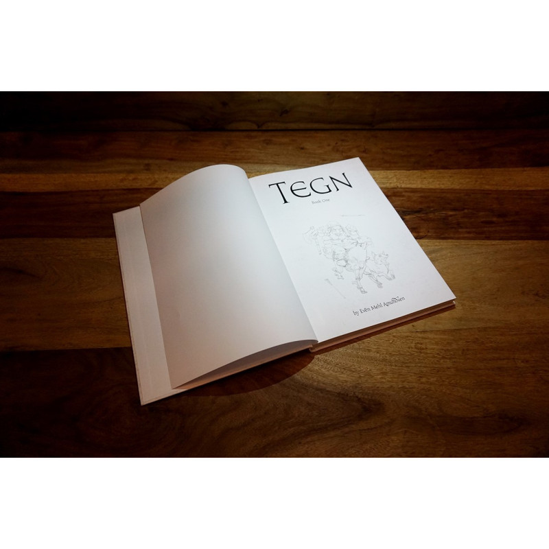 TEGN - Book One - Even Mehl Amundsen